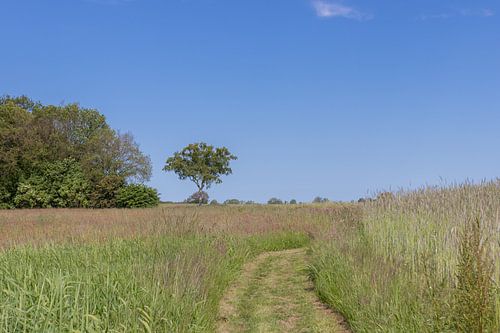 Groningen und Drenthe Veenkoloniën