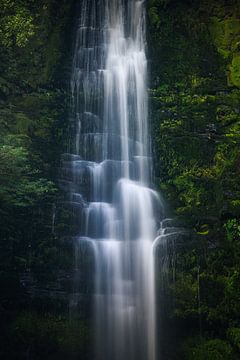 Nieuw-Zeeland McLean waterval close-up van Jean Claude Castor