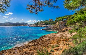 Paysage de l'île de Majorque, belle côte de Cala Ratjada, Espagne Mer Méditerranée