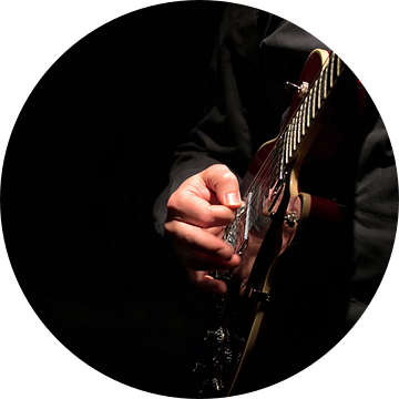 Hermit gitaar  van Michel De Pourcq
