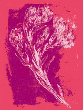 Fleur sèche rose et fuchsia - art botanique moderne avec texture graphique