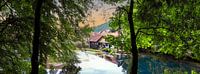 BADEN-WUERTTEMBERG : HAMMERSCHMIEDE AM BLAUTOPF - BLAUBEUREN van Photoart-Naegele thumbnail