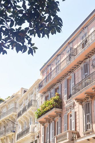 Monacopastelbouw Verhouding2x3