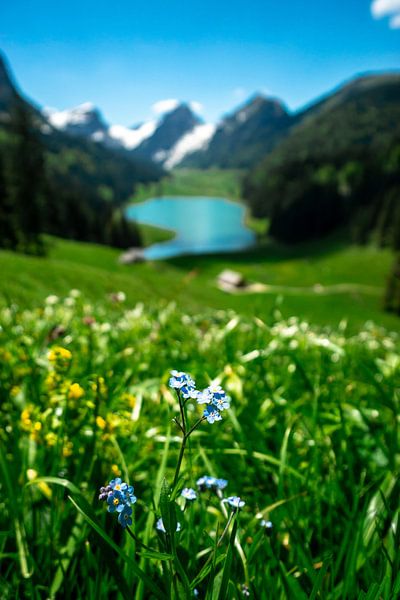 springlike view of the lake Sämtis and the Appenzell Alps by Leo Schindzielorz