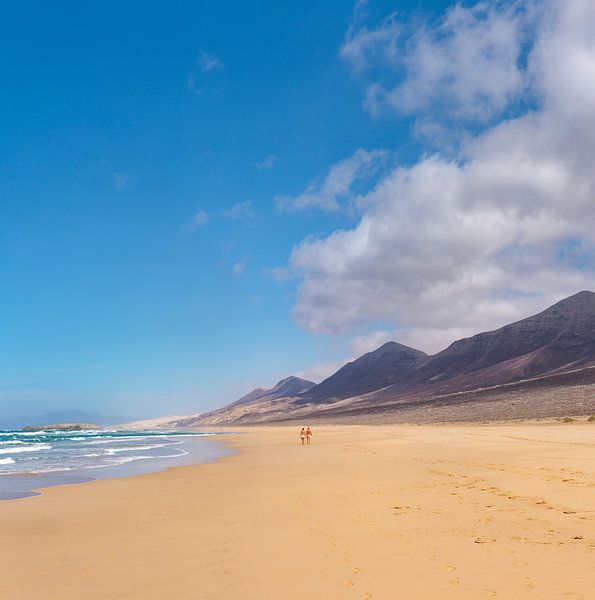 Cofete Beach, Jandia Naturpark, Cofete, Fuerteventura, Kanarische Inseln, Spanien, von Rene van der Meer