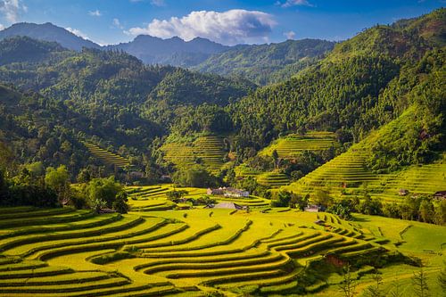 Les spectaculaires rizières de Hoang Su Phì, Vietnam sur Antwan Janssen