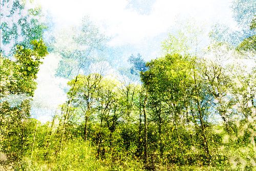 Nederlands landschap Tilburg, Nederland