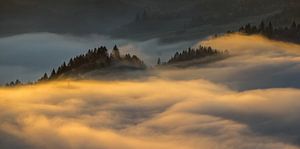Nebel in Pieniny