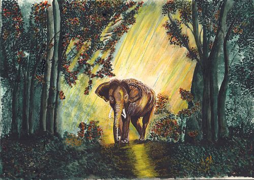 Olifant in bos