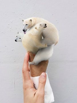 Beren IJs surreal art dierenprint van Martijn Schrijver