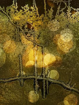 Winter Wonderland. Gold. by Alie Ekkelenkamp