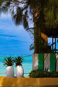Tropisch Zanzibar van Lisette van Leeuwen