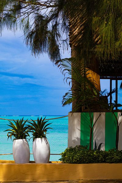 Tropical Zanzibar by Lisette van Leeuwen