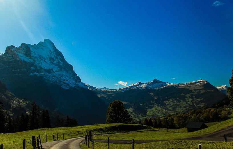 Mountainlife by Arthur Mul