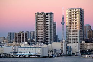 Skyline van Tokio met de Tokyo Skytree van Lensw0rld