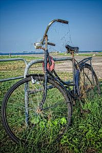 Bicyclette abandonnée sur Don Fonzarelli