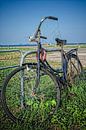 Verlaten fiets van Don Fonzarelli thumbnail