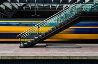 Rotterdam railway station by Rob Wareman Fotografie thumbnail