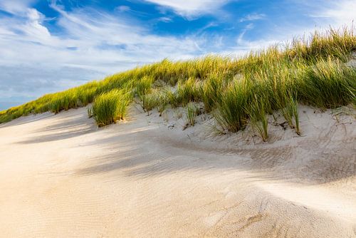 Dune on the Baltic Sea