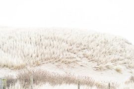 Plage et dunes sur Dave Oudshoorn
