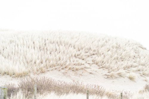 Plage et dunes