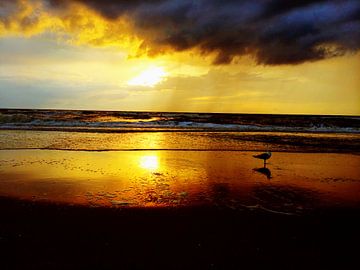 Donkere wolken boven zee von Toekie -Art