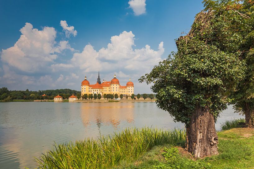 MORITZBURG 04 van Tom Uhlenberg