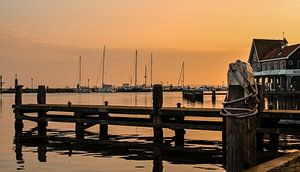 Port de Volendam avec un beau tigre sur Ricardo Bouman Photographie