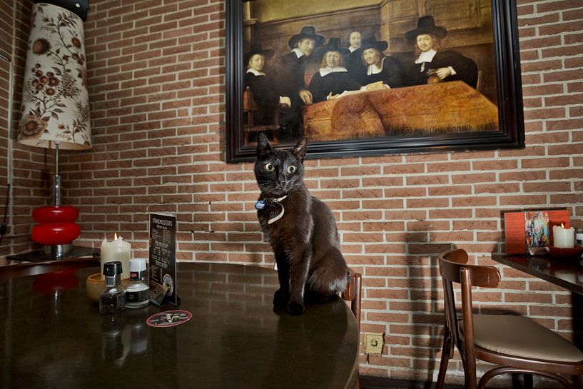 Amsterdam Pubcat par Robert van Willigenburg