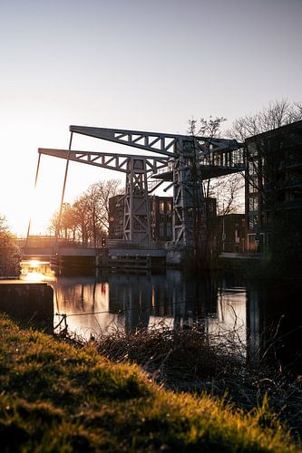Dn Ophef - Tilburg