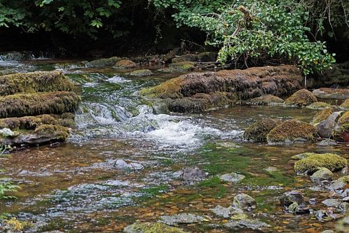 Fowley's Falls in Ierland