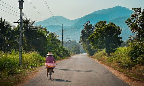 Vrouw fietst over Thaise platteland, Sukhothai sur Nick Hartemink