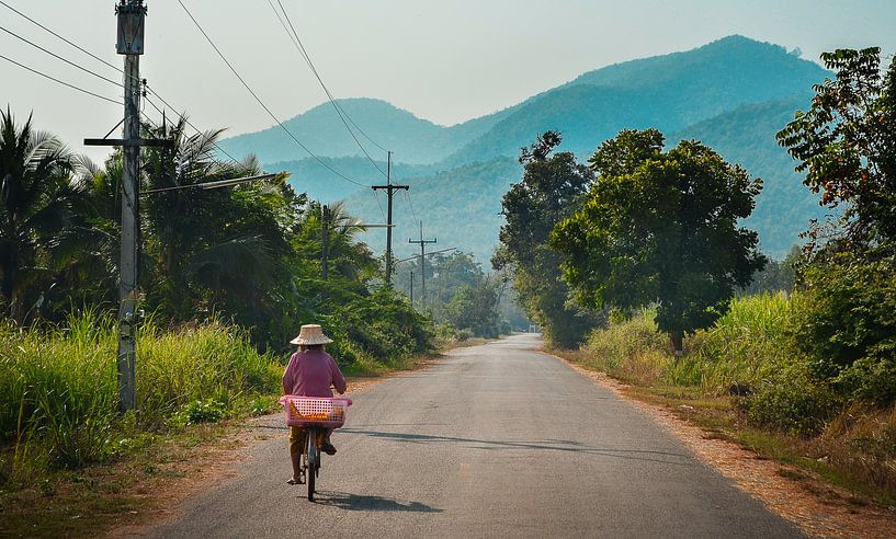 Vrouw fietst over Thaise platteland, Sukhothai van Nick Hartemink