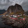 Noorwegen Rode vissershuisjes in Hamnoy van Leon Brouwer