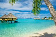 Strand von Bora Bora von Ralf van de Veerdonk Miniaturansicht
