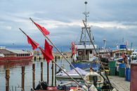 Rote Fahnen und Fischerboote am Hafen von Sassnitz auf der Insel Rügen in der Ostsee vor bewölktem H von Maren Winter Miniaturansicht