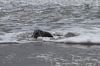 Schuimend water overspoelt een steen 