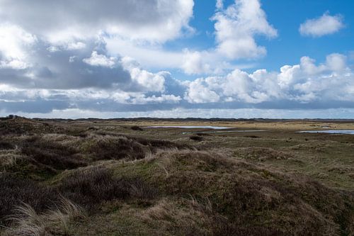 Texel Landschaft die Slufter