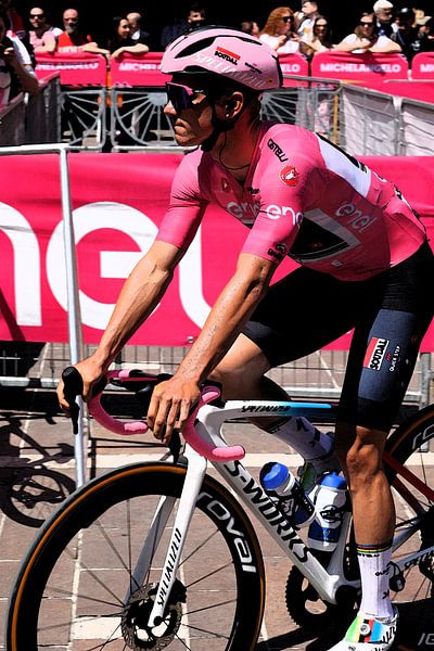 Pink Remco Fresco by FreddyFinn