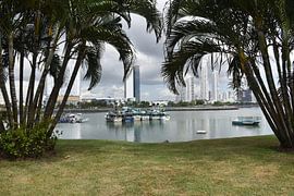 Blick auf den Hafen im La Bandera Park von Claude Laprise