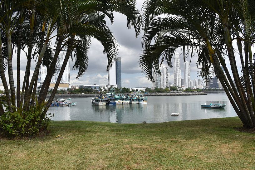 Blick auf den Hafen im La Bandera Park von Claude Laprise