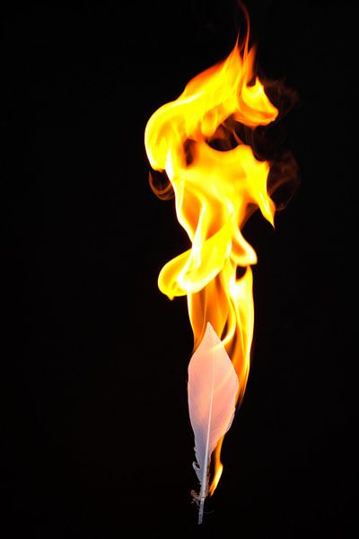 le feu et la flamme par pixxelmixx