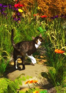 Katzen – Eine Katze dreht sich um