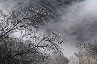 Nebel im Tal. von Jan Katuin Miniaturansicht