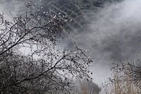 Fog in the valley.