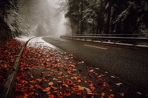 Herbst zu Winter von Manuel Gratl