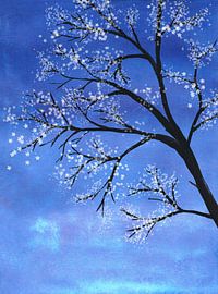 Tree in bloom by Bianca Wisseloo