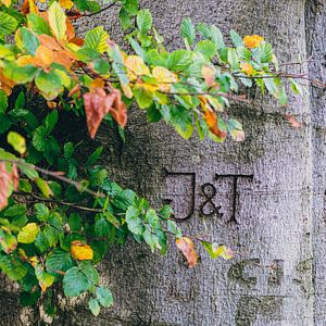 22 Herbst J&T