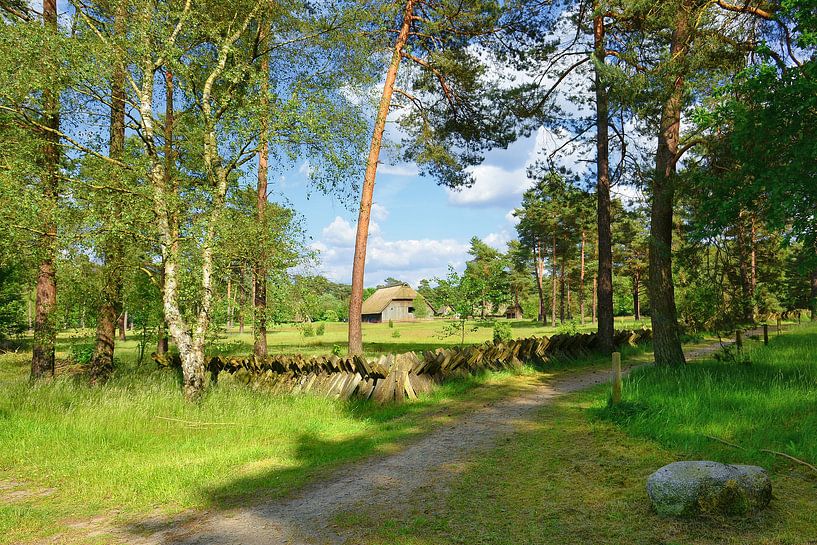 De Schäferhof - Lüneburger Heide van Gisela Scheffbuch