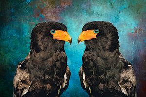 Gaukler mit leuchtend blauen Augen - Bunte Vogelkunst